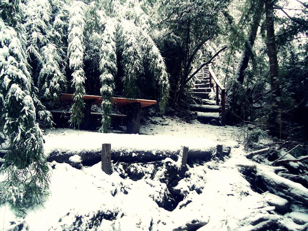 Hosteria Patagon Вила ла Ангостура Екстериор снимка